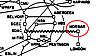 NORSAR var koblet til ARPANET via en satellittforbindelse. Her et utsnitt fra oversikten over ARPANET i juli 1977.