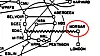 NORSAR var koblet til ARPANET via en satellittforbindelse. Her et utsnitt fra oversikten over ARPANET i juli 1977.
