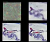 Bildene tegnes igjen og igjen til de blir bedre enn originalbildet som var utgangspunktet. Skjermdump fra https: //dmitryulyanov.github.io/deep_image_prior.