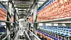 En variasjon i spenningen i strømnettet skapte store problemer for IT-infrastrukturen på Norturas fabrikk på Hærland i 2023. Nå krever driftsleverandør Matiq 19 millioner kroner av sin tidligere samarbeidspartner.