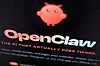 Nye såkalte skills legges til Open Claw-agenter hele tiden. Bare i løpet av tiden det tok å lage denne artikkelen, har nesten 2000 nye agenter blitt lagt til. Selv om agentene kan være smarte og produktivitetsfremmende, inneholder en uforholdsmessig stor andel av skillsene kjente sårbarheter som kan stjele kortet ditt, kryptolommeboken din, passordene dine og API-nøklene dine.