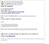 Her ser vi hvordan mottakeren av phishing-meldingen tilsynelatende kan føre en dialog med angriperen. Det er en robot eller et program som svarer. (Skjermdump)
