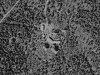 Flyfoto av ACE High-stasjonen på Egneråsen i daværende Sørum kommune i 1986. Foto: Statens kartverk, Geovekst og kommunene, Nittedal - Skedsmo - Fet - Sørum 1986.