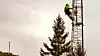 Netel og Telenor har avsluttet samarbeidet med Fibertec etter påstandene om lønnstyveri fra tidligere Fibertec-ansatte. Montøren på bildet har ingenting med saken å gjøre.