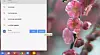 I framtiden vil Chrome-spesifikke applikasjoner trolig også kunne kjøres direkte fra Chrome Web Store, uten først å måtte installeres.