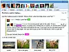 Bølgene kan bestå av en lang rekke komponenter, både diskusjoner, bilder, dokumenter, men også ekstern innhold gjennom RSS-feeds.