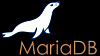 Ny funksjonalitet skal gjøre det enklere for virksomheter å migrere fra Oracle Database til MariaDB.