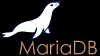 Ny funksjonalitet skal gjøre det enklere for virksomheter å migrere fra Oracle Database til MariaDB.