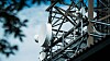 Inside Telecom skal tilby deg telekom-nyheter i hele sommer.