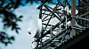 Inside Telecom skal tilby deg telekom-nyheter i hele sommer.
