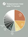 En oversikt over testpersonens mest sette TV-kanaler. Foto: Skjermdump fra Innsynsrapporten