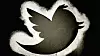 Twitterfugl