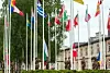 Norge ble medlem ved Natos cybersenter i Tallinn i 2019. Her heises det norske flagget. Bilde: Ardi Hallismaa