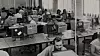 Terminalstue hos Institutt for informatikk ved Universitetet i Oslo. Bildet er fra 1985 og viser studenter ved det som etter alt å dømme er Tandberg TDV2200-terminaler.