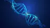 DNA-molekylet har demonstrert et visst potensiale innen datateknologi, har et forskerteam nå funnet ut.