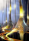 En kunstnerisk gjengivelse av en sett med stokastiske faseskiftnevroner. Bildet ble vist på forsiden av Nature Nanotechnology-utgaven som ble utgitt i går. Foto: IBM Research