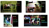 Eksempler på bilder og objekter som gjenkjennes i ImageNet-konkurransene.
