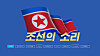 Det er uklart om angrepene til hackeren P4x pågår fortsatt, men det nordkoreanske propagandanettstedet Voice of Korea er i alle fall tilgjengelig nå via en IP-adresse som er tildelt Nord-Korea.