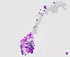 Lyse sirkler markerer byer og kommuner der Telia bygger ut 5G-nettet gjennom neste halvår. Mørke sirkler markerer dagens nett.