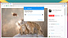 Speiling av Chrome-fane til Chromecast.