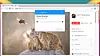 Speiling av Chrome-fane til Chromecast.