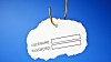 'Username and password' on a fishing hook. Conceptual image about the risk of internet identity theft, also known as 'Phishing'.