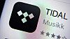 Tidal-saken vekker et prinsipielt spørsmål som strekker seg langt lenger enn denne ene saken.