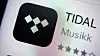 Tidal-saken vekker et prinsipielt spørsmål som strekker seg langt lenger enn denne ene saken.