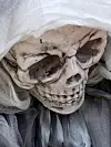 Virusinfiserte maskiner, ofte omtalt som zombiemaskiner, forårsaker store problemer på Internett.