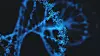 Deoxyribonucleic acid (DNA), molecule that carries the genetic instructions of the development, functioning and reproduction of all living organisms and virus.