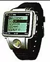 Seiko Ruputer.