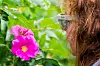 På tur spør Siri Rudlende KI-brillene hvilken blomst hun kjenner duften av. Foto: Lea Trong-Johansen