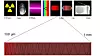 Terahertz Bilde: Tatoute/Wikimedia/CC BY-SA 3.0