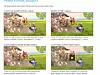 Bilde av Microsofts nye testside for webvideo i nettleseren.