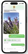 Med RCS-støtte i IOS får man mulighet til å sende mye mer medieinnhold som meldinger til brukere som ikke har en Apple-enhet, enn det som er mulig med SMS og MMS. Også støtten for gruppemeldinger skal være mer pålitelig enn med de gamle meldingsformatene. Illustrasjon: Apple
