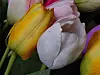 Sony Xperia 5 IV