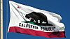 The great bear on the California flag.