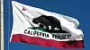 The great bear on the California flag.