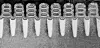 Et elektronmikroskop-bilde av 5 nanometer transistorer laget ved hjelp av silisiumbaserte nano-ark. Foto: IBM