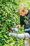 Chat GPT hadde blant annet innspill på hvordan man kunne unngå at roboten knuste tomatene. Foto: Adrien Buttier/EPFL, brukes etter avtale