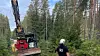 Store skogsmaskiner er inne i skogen og henter ut de gamle telefonstolpene.