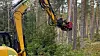 Stolpene ryddes for utstyr, kuttes ned og sendes til avfallsdeponier. Foto: Telenor