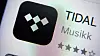 Tidal må utlevere data til Økokrim, samme hvor i verden de er lagret.