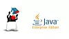 Oracle tror at den framtidige utviklingen av Java EE vil tjene på å bli ledet av noen andre enn selskapet selv. Nå er Eclipse Foundation valgt som arvtaker.