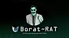 Borat-skadevaren er ingen spøk, opplyser sikkerhetsselskapet Cyble.