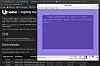 Pokefinder har ferdig kompilerte versjoner (binaries) av Vice for Windows.