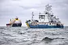 Et svensk kystvaktskip i nærheten av lasteskipet Vezhen etter et kabelbrudd i Østersjøen i slutten av januar.