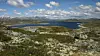 Både krattet og tregrensen kryper oppover i fjellheimen. Om de fortsetter i samme tempo, er det skog over hele Hardangervidda om et par hundre år. Foto: Svein-Magne Tunli/Wikimedia