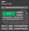 Cortex-A75. Foto: ARM
