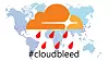 Sårbarheten som Cloudflare har fjernet fikk raskt tilnavnet Cloudbleed, ikke minst fordi sikkehetsforskeren som oppdaget den, sammenlignet den med den mye omtalte Heartbleed-sårbarheten.